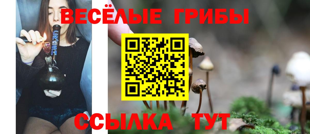 Псилоцибиновые грибы мицелий Бирск